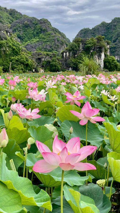 Hanoi Holiday Hotel Ngoại thất bức ảnh